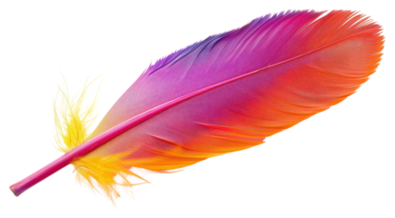 PNG Colorful feather isolated white background