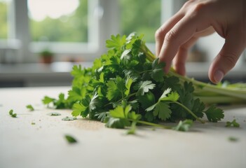 Fresh parsley being chopped, releasing green leaf particles and chlorophyll spray