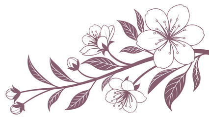 Delicate Floral Illustration with Blossoming Flowers and Leafy Branch