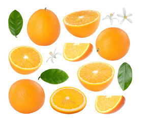 Fresh oranges, green leaves and blossoms isolated on white, set