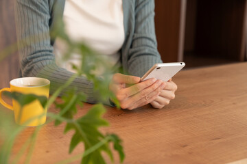 部屋でスマホを見る若い女性　手元