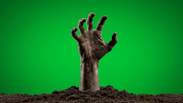 Zombie Hand Emerging from Soil Against Green Screen Background