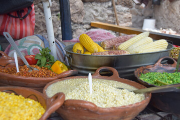 25-Exhibición de Elotes