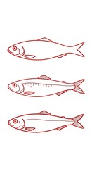 Sardines sketched in red, arranged vertically. 