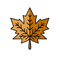 Illustration of maple tree leaves, use it as an icon, logo or sticker will look wildly ordinary.