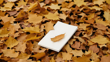 Blank card with autumn leaves, top view. Seasonal motif with dry leaves and white paper with space. Background.