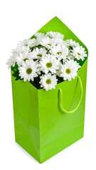 Green gift bag filled with white daisies