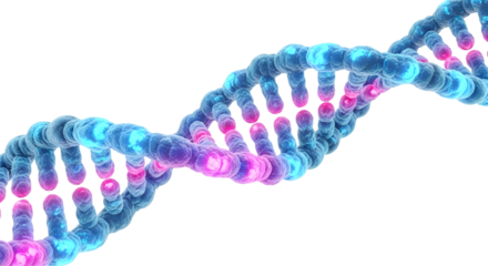 Double helix dna molecule structure isolated on transparent background