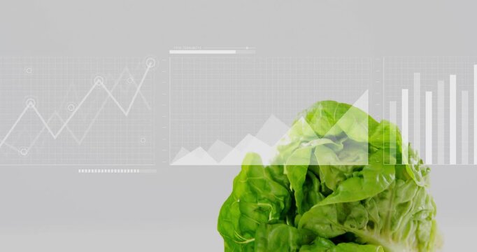 Pulsing points causing line chart emerging as graphs sliding and cabbage growing to visualize stats