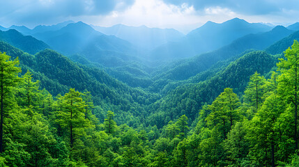 Naklejka premium View of a lush green valley nestled between mountain ranges under a cloudy sky.