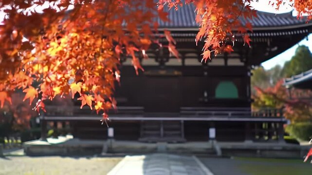 Vibrant Autumnal Scene at Kyoto's Eikando Temple with Red and Orange Japanese Maple Leaves Creating a Stunning Contrast Against Traditional Temple Architecture Under Soft Sunlight A Tranquil Autumn