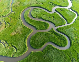 Fototapeta premium Aerial view of a winding river flowing through lush green marshland.