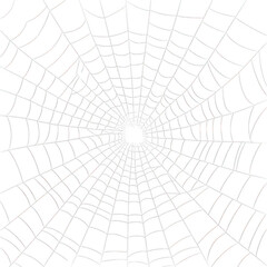 Intricate spooky spiderweb pattern with a central dark hole isolated on transparent background