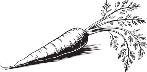 Black and White Carrot Illustration with Green Leaves