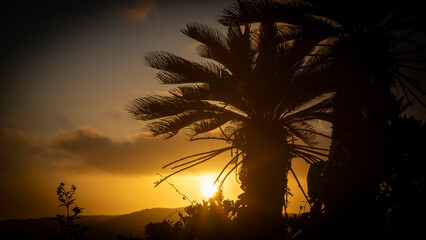 奄美大島の日の出。