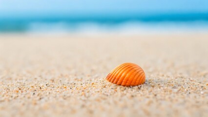 Obraz premium Single orange seashell resting on a sandy beach with ocean background
