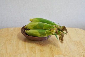 とれたてのとうもろこし5本