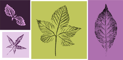 Trendy floral branch leaves for logo or decorations. Hand drawn line elegant leaves for invitation card. Botanical rustic trendy vector art.