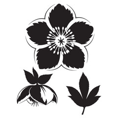 High-Contrast Hellebore Flower and Leaf Silhouette Set