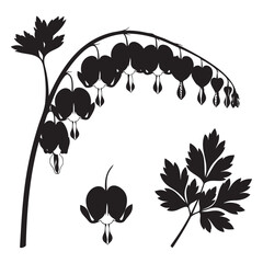 Graphic Bleeding Heart Flower and Vine Icon Collection