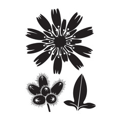 Iconic Fox and Cubs Wildflower Bold Silhouette Set