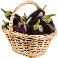 a full basket of   brinjals on isolated eggplant