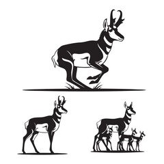 Set of 3 Pronghorn Silhouettes as a North American Mammal Set © MAHEDI