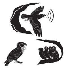 Set of 3 Oilbird Silhouettes as a Nocturnal Echolocating Bird Set