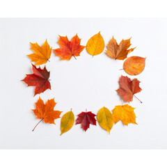 Fototapeta premium Stylish autumnal leaf decor against neutral background