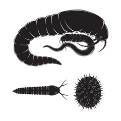 Set of 3 Schistosoma Silhouettes as a Blood Fluke Trematode Set