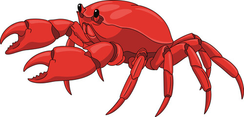 Red crab illustration, detailed crustacean artwork, sea animal drawing, marine life concept, ocean creature, vibrant educational image, cartoon crustacean © DesignSoul