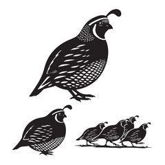 Set of 3 Quail Silhouettes as a Plump Game Bird Vector Icon Set