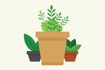 Obraz premium broccoli plant growing with compost and mulch layeb (39).eps