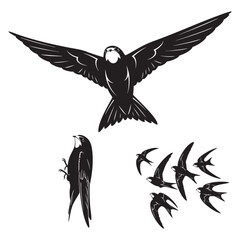 Set of 3 Swift Silhouettes as an Aerial Master Bird Vector Set