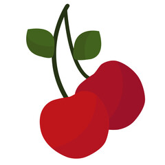 Cherry Vector Illustration