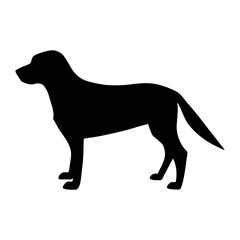 大型犬（ゴールデンレトリバー）のシルエットイラスト
