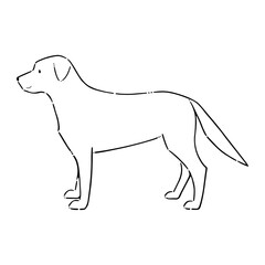 大型犬（ゴールデンレトリバー）の線画イラスト