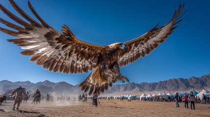 Golden Eagle Flying Low Toward Crowd During the Mongolian Golden Eagle Festival Among Mountain Backdrop and Open Sky