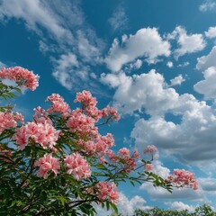 Pink flowers against a vibrant sky