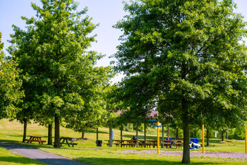 Enjoying a sunny day in a vibrant public park with shaded picnic areas