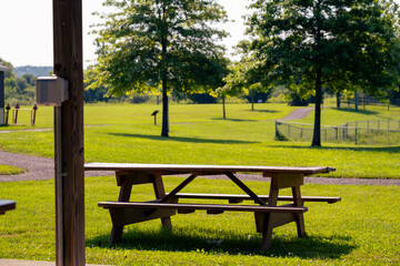 Fototapeta premium Wooden picnic table under trees in a sunny park on a warm day