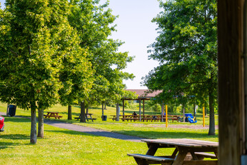 Fototapeta premium Wooden picnic table under trees in a sunny park on a warm day