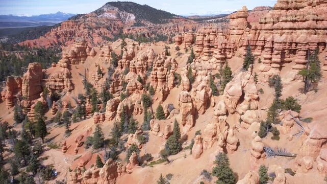 Dixie National Forest