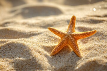 Coastal atmosphere with orange starfish on sunny sand, calm and peaceful setting