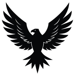 Obraz premium Black eagle wings spread wide bird