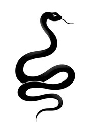 Obraz premium Black snake isolate on white background.