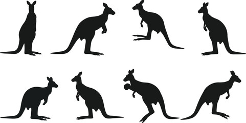 Kangaroo silhouettes various poses