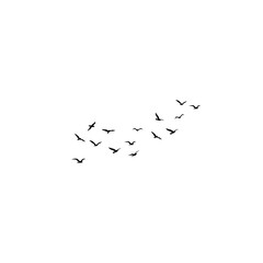 Flock of Minimalist Birds flying isolated on white background.