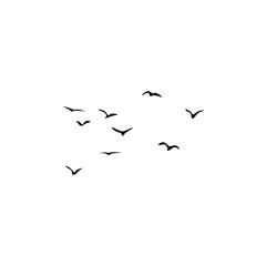 Simple birds flying in sky,frozen in motion.