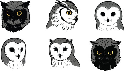 Fototapeta premium Owl portraits grayscale illustrations